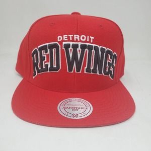🆕 NWT Mitchell and Ness NHL Detroit Redwings Arch Snapback Hat